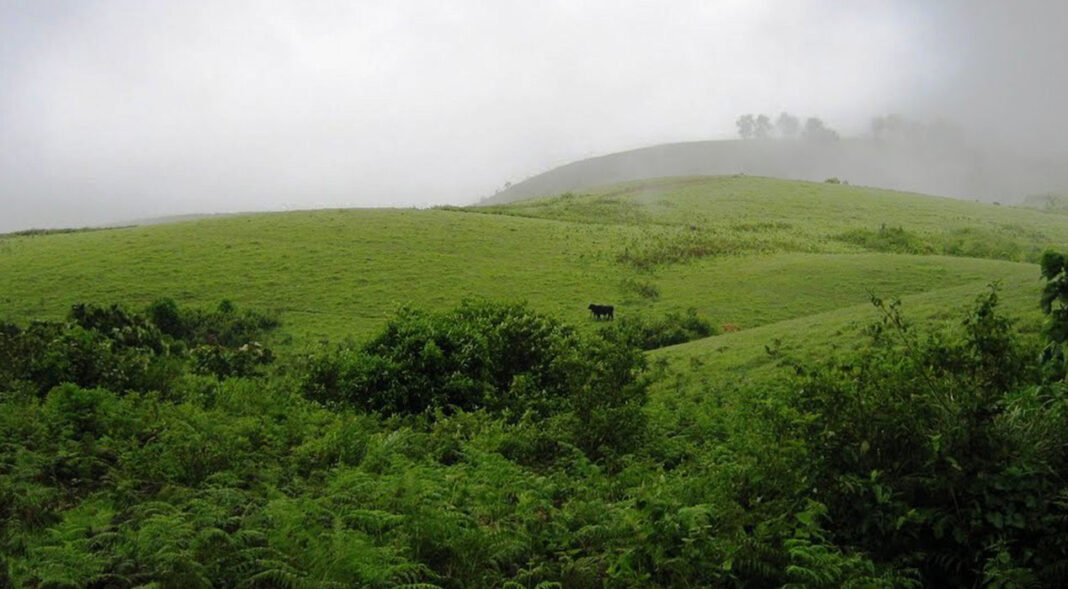 Vagamon meadows